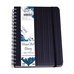 Visual Diaries
